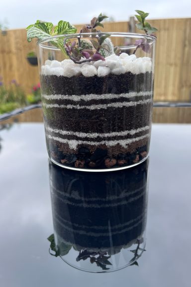 Open Layered Terrarium Open layered terrarium featuring various plant