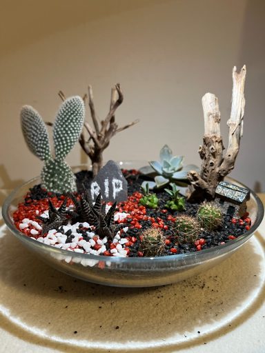 Spooky Cacti and Succulents Halloween Terrarium Cacti and Succulents Halloween Shallow Terrarium