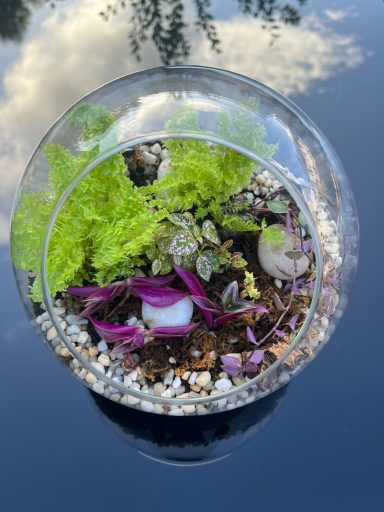 Round Open Foliage Terrarium Round open terrarium with lush foliage and decorative stone layers