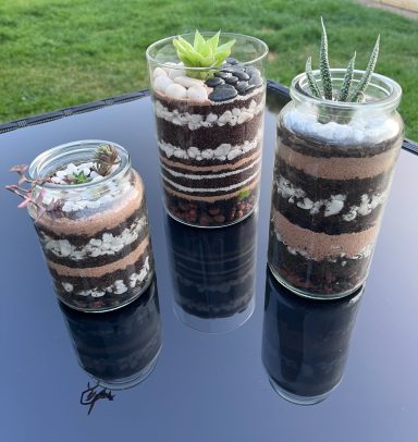 Layered Cactus and Succulent Terrariums in Reused Candle Jars Three layered terrariums in reused candle jars with cacti and succulents.