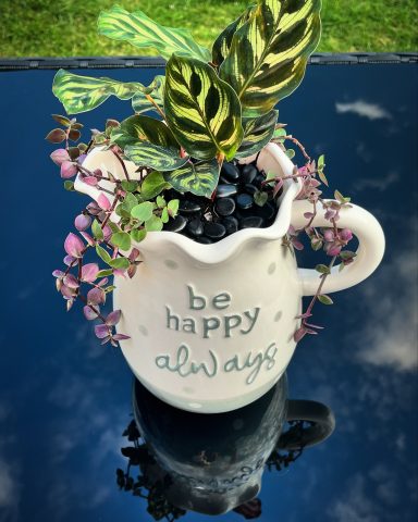 “Be Happy Always" Planter with Indoor Plants Callisia and Calathea plants in a “Be Happy Always” jug planter
